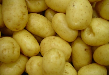 Как тушить картошку