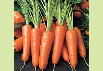 Как приготовить морковь