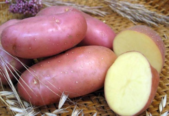 Как потушить картофель