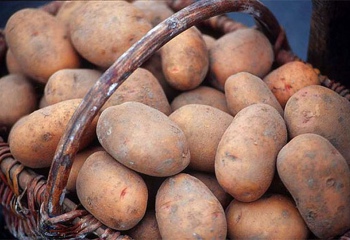 Как сохранить картошку