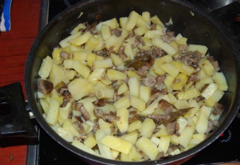 Как приготовить опята с картошкой