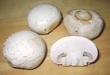 Как жарить грибы шампиньоны