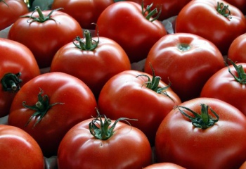 Как мариновать помидоры