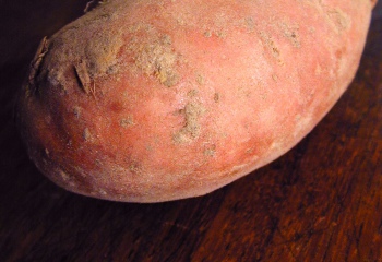 Как запечь картофель в микроволновке