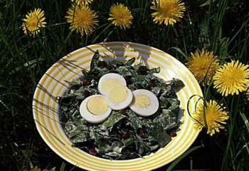 Как приготовить салат с листьями одуванчика