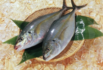 Как готовить рыбу на пару