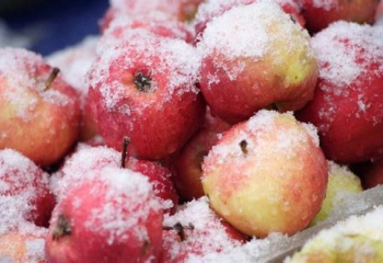 Можно ли замораживать яблоки на зиму в морозилке 