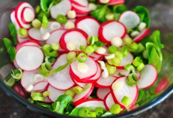 Салат из редиски: рецепты с фото для легкого приготовления