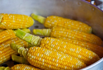 Маринованная кукуруза: рецепты с фото для легкого приготовления