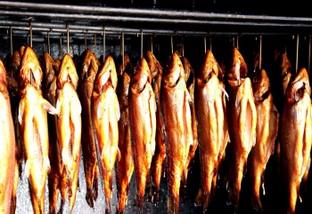 Рыба в коптильне: рецепты с фото для легкого приготовления