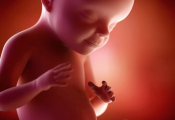40 недель беременности: ощущения, развитие плода