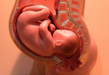 34 недели беременности: ощущения, развитие плода