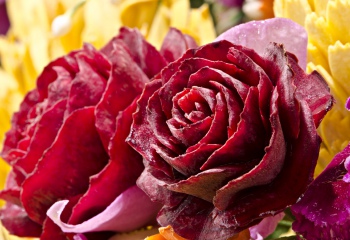 Красивая овощная нарезка: розы из свеклы
