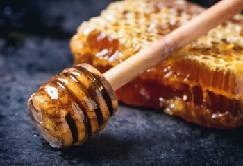 Целебная кладовая Сибири: вкусный и полезный таежный мед