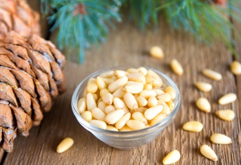 Кедровые орехи: лечебные свойства