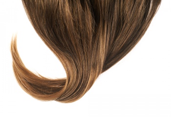  Человеческий волос: состав, структура, строение