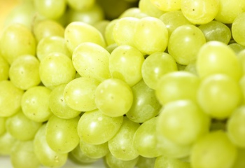 Весенняя обработка винограда от болезней 