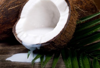 Что такое кокосовое молоко: калорийность и польза продукта 