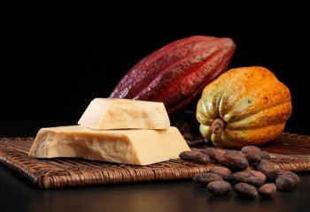 Как использовать какао-масло в выпечке