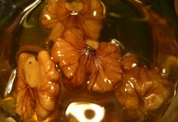 Как сделать мед с грецкими орехами