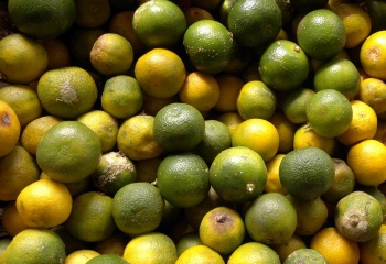 Можно ли заменить лимон лаймом