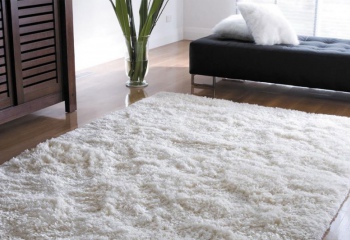 Как сделать сухую чистку ковров