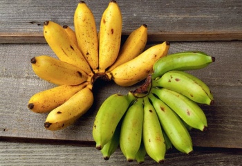 Как осуществить газацию бананов в домашних условиях