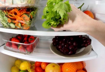 Как выбрать переносной холодильник