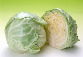  10 рецептов вкусных салатов из свежей капусты 