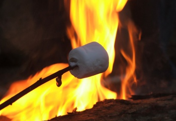Как пожарить зефир на костре