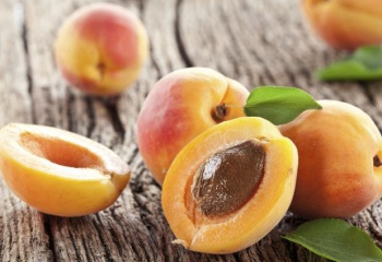 Едят ли абрикосовые косточки и чем они полезны