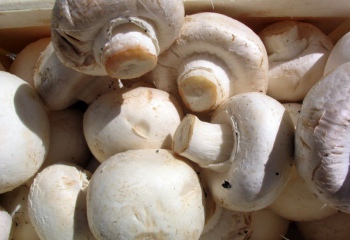 Как правильно солить грибы