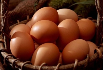 Как выбрать яйца