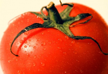 Как приготовить запеканку из помидоров