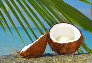 Как применять кокосовое масло