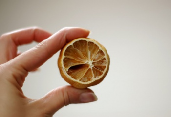 Как засушить лимон