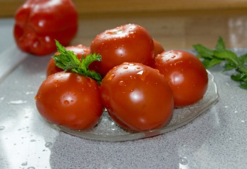 Как консервировать томаты