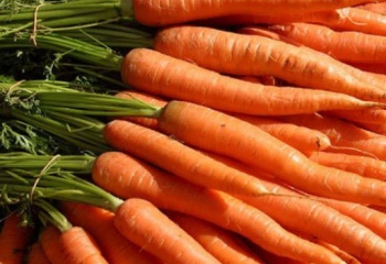 Как выбрать морковь
