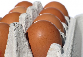 Как определить свежие яйца