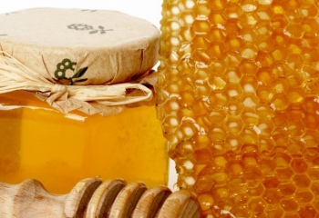 Каким бывает мед