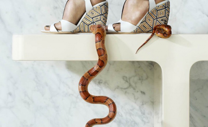 Прощание со змеей: реклама Rupert Sanderson
