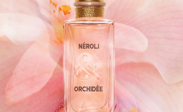 Нероли и орхидея: обновление коллекции из Грасса L'Occitane