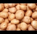 Как приготовить гуся с картошкой