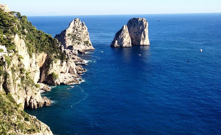 Павлины с острова Капри: показ D&G