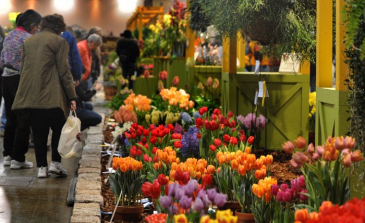 Океан цветов на выставке в Филадельфии