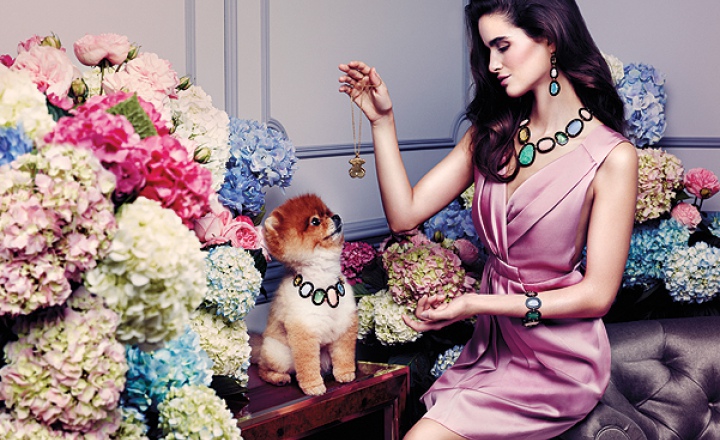 Померанский шпиц и Лулу Роберт в рекламной кампании Tous