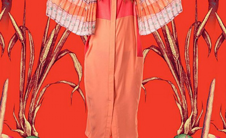 Царевна-лягушка Алены Ахмадуллиной