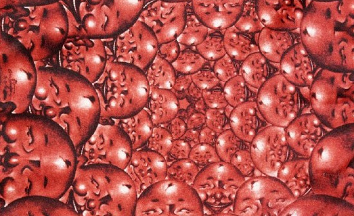 Из Китая с любовью: Цю Шэнсянь для s.Oliver