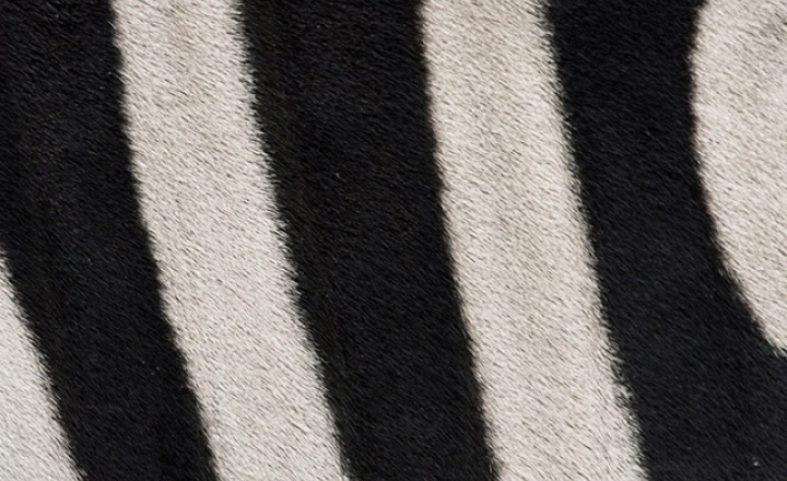 Побудь в моей шкуре: серия фотографий Юсуке Сакая