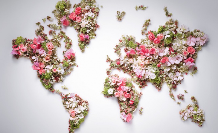 Красота в одном флаконе: тональная новинка Dior Dreamskin